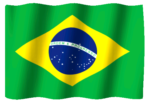 Brazil Flag